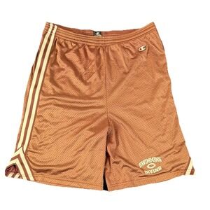 Champion Shorts Mens 32 Brown Mesh Athletic Elastic Waist Swimming Diving